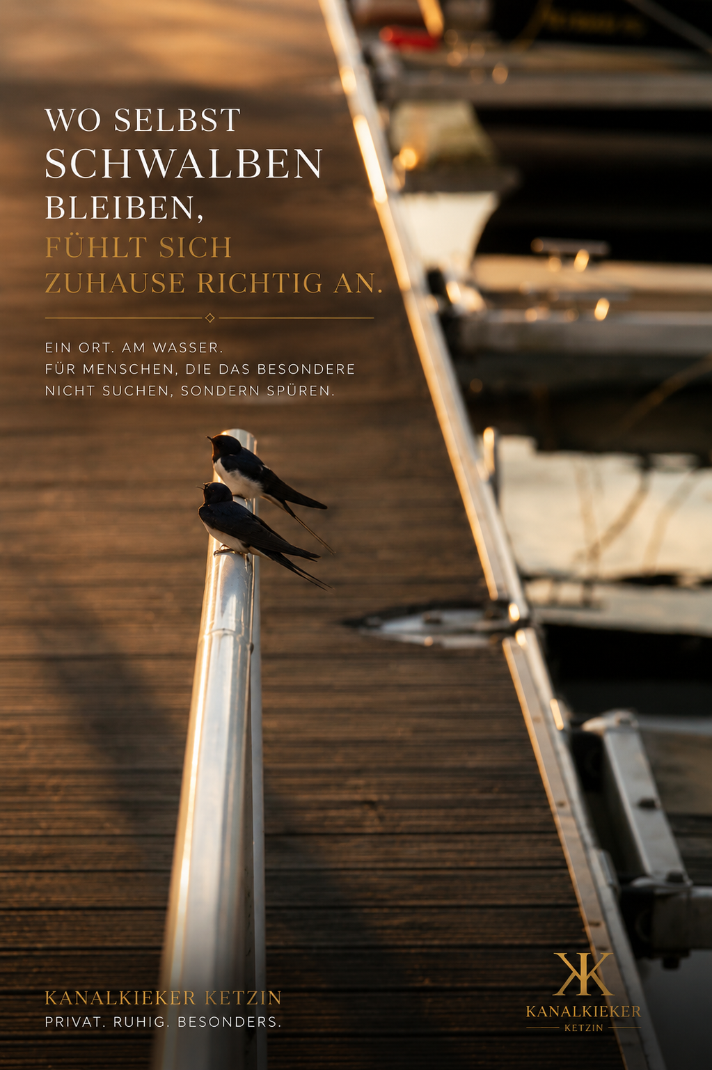 Zwei Schwalben am Steg im Abendlicht – Kanalkieker Ketzin